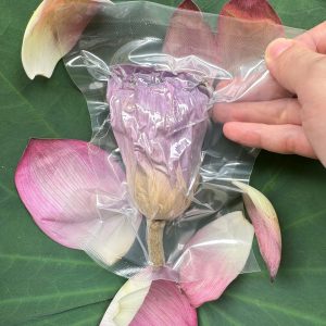 Trà Ướp Bông Sen Tây Hồ Sấy Thăng Hoa