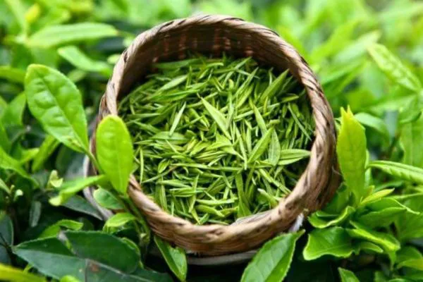 Trà Đinh Nhất Phẩm - Trà Ấm (250g) - Ảnh 2